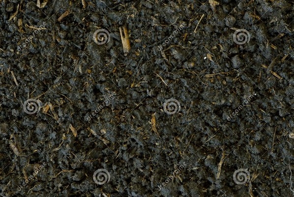 Materia orgánica y abonos verdes - Image 2