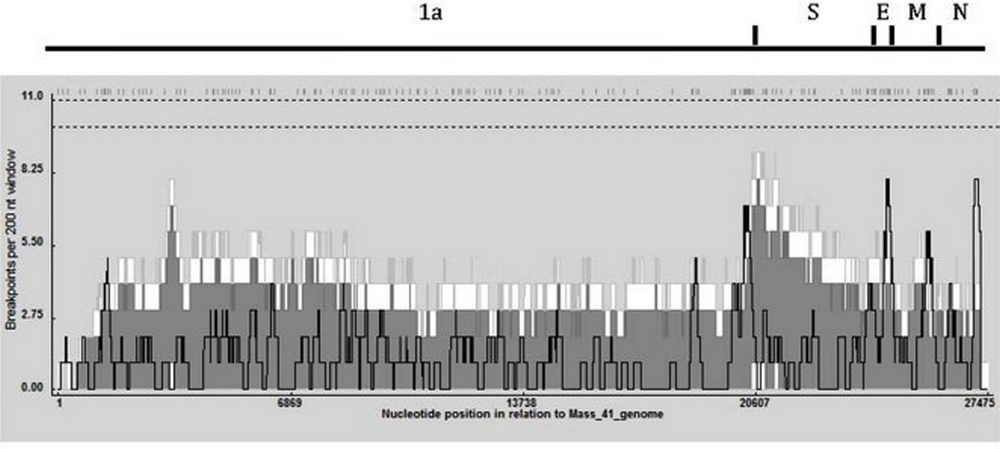 Importancia de las autovacunas o vacunas homólogas en el control de la bronquitis aviar - Image 1