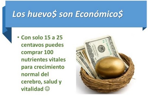 El Huevo, realidades y mitos 2020. Más de 3 docenas de preguntas y respuestas - Image 20
