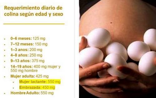 El Huevo, realidades y mitos 2020. Más de 3 docenas de preguntas y respuestas - Image 8