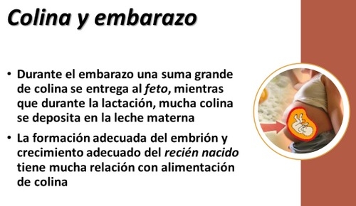El Huevo, realidades y mitos 2020. Más de 3 docenas de preguntas y respuestas - Image 7