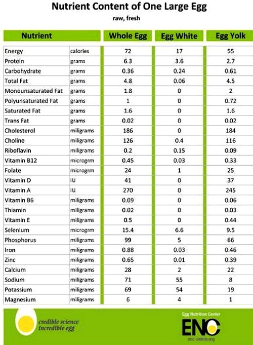 El Huevo, realidades y mitos 2020. Más de 3 docenas de preguntas y respuestas - Image 9