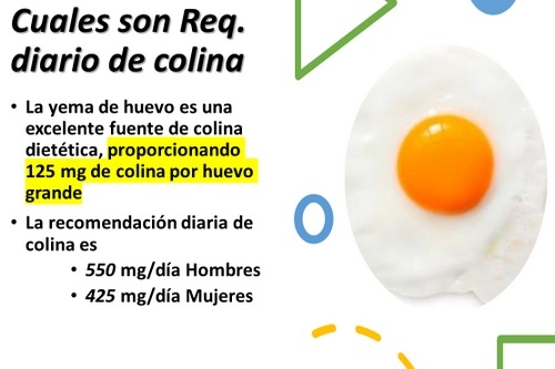 El Huevo, realidades y mitos 2020. Más de 3 docenas de preguntas y respuestas - Image 6