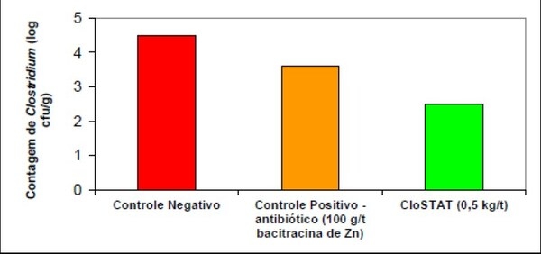 Solución microbiana activa CloSTAT™ - una herramienta de control de la enteritis necrótica clínica y subclínica en la avicultura - Image 2