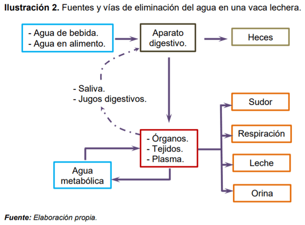 El agua en la producción lechera - Image 4