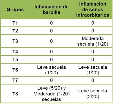 Efecto de una asociación de fármacos en el control de una infección experimental con una cepa de Avibacterium paragallinarum en pollos de engorde. - Image 3
