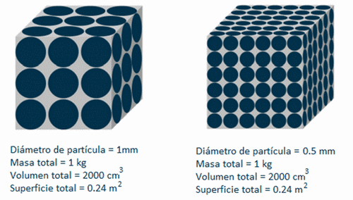 La importancia del tamaño de partícula en la fabricación de alimento para cerdo, y los desafíos entre el rendimiento y la salud animal - Image 1