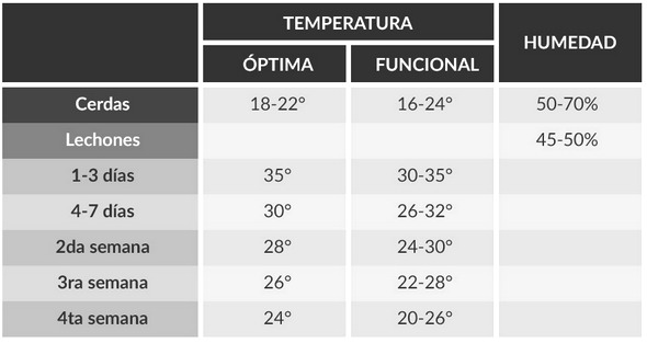 Puntos clave para el manejo de la cerda y su camada durante el parto - Image 1