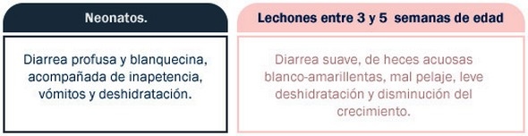 Guía de identificación de diarreas en maternidad - Image 4