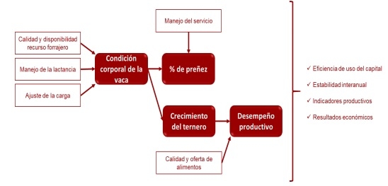 Resultados productivos y económicos del Módulo Demostrativo de Destete Hiperprecoz 2014 – 2020 - Image 1