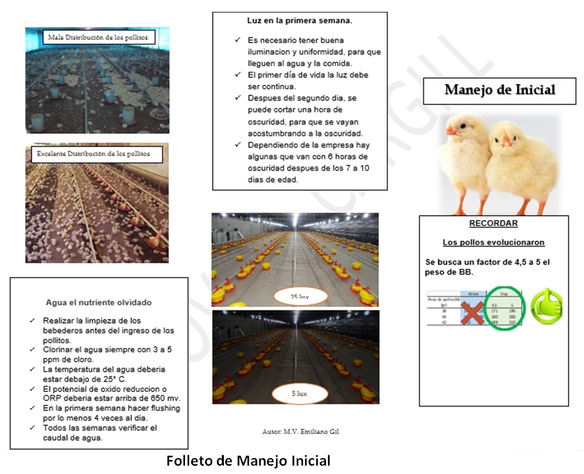 ¿Recorredor, Supervisor o Extensionista?: Visita a la granja - Image 4