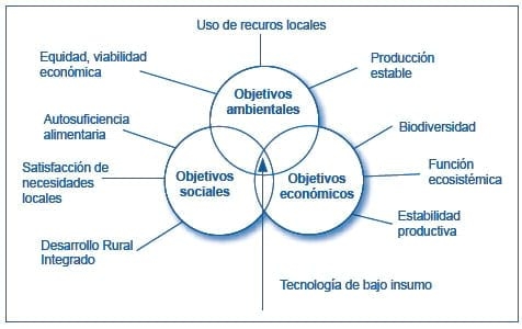 Micorriza arbuscular. Recurso microbiológico en la agricultura sostenible - Image 2