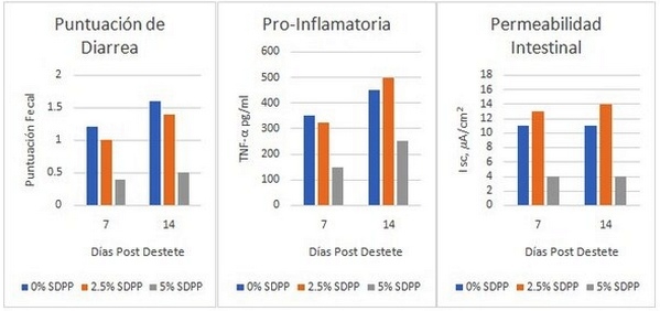 El plasma apoya la salud de los cerdos y la productividad de la piara - Image 1