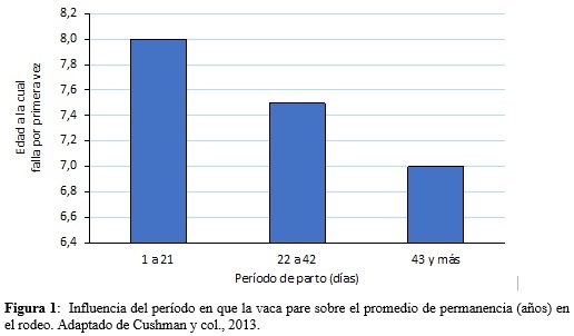 Importancia de la fecha de parto sobre la actividad productiva y reproductiva en un rodeo de cría - Image 2