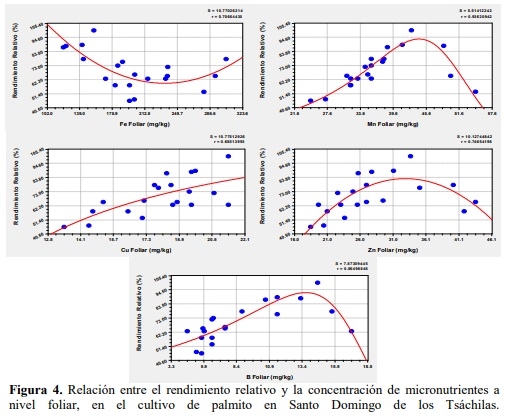 Un nuevo metodo para determinar los niveles críticos de nutrimentos en el suelo y follaje en el cultivo de palmito (bactris gasipaes kunth.) en Santo Domingo de los Tsáchilas - Image 8
