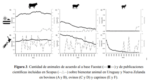 Bienestar en animales de producción: la investigación nacional, ¿acompasa las exigencias internacionales en el tema? - Image 3