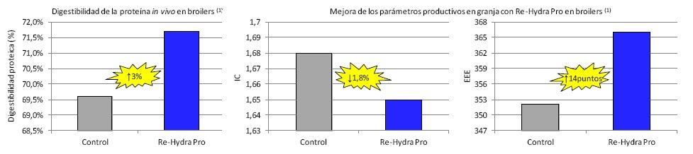 Agua libre vs. RHP - Image 13