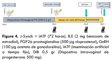 UTILIZACIÓN DE UN PROTOCOLO CON PROESTRO PROLONGADO CON Y SIN ECG EN VACAS LECHERAS HOLSTEIN EN LA AMAZONÍA ECUATORIANA - Image 4
