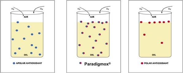 Propiedades, estudios y dosis recomendada del PARAdigmOX® White Dry: Diferenciación química y de eficiencia respecto al BHT - Image 2