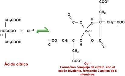 Propiedades, estudios y dosis recomendada del PARAdigmOX® White Dry: Diferenciación química y de eficiencia respecto al BHT - Image 3