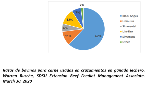Produzca becerros cruzados con razas para carne; refuerce la genética lechera del hato, y eleve la rentabilidad de su empresa. - Image 6