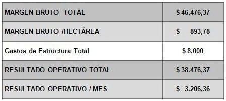 Cría Intensiva: una alternativa con buenos resultados económicos - Image 4