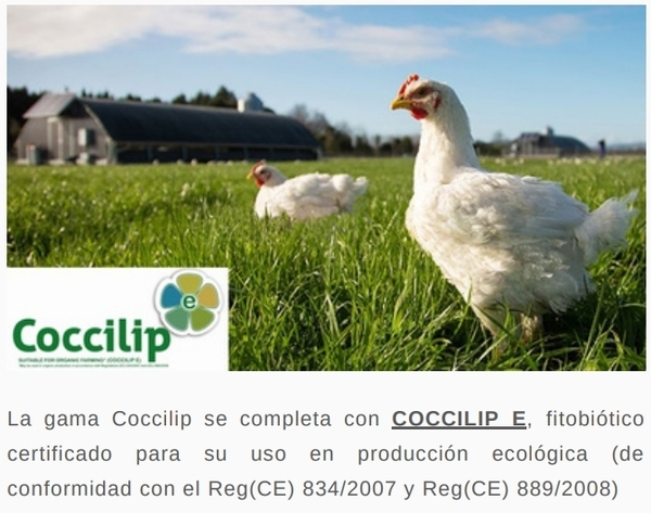 La coccidiosis aviar - Image 3