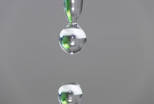 ¿Es posible cultivar sin riego y solo con el agua retenida por el aire? - Image 1
