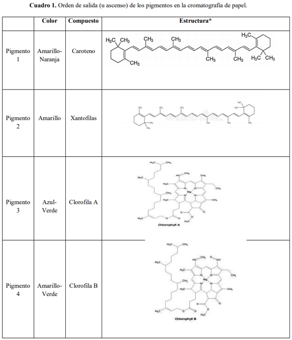Técnicas cromatográficas en pigmentos fotosintéticos de la espinaca - Image 2