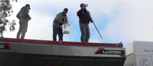 Sistema de Transporte: Efecto sobre la calidad de la semilla de soja y sobre la calidad y distribución por proyección de urea. - Image 4