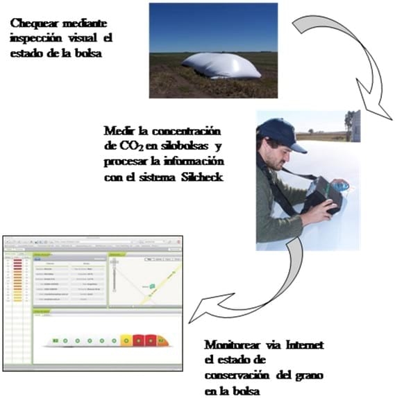 Preparándose para almacenar la cosecha fina - Image 1