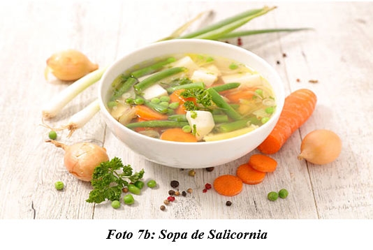 También sirven para hacer cocina gourmet : DIFERENTES TIPOS DE COMIDAS GOURMET CON FORRAJES NATURALES1 - Image 12