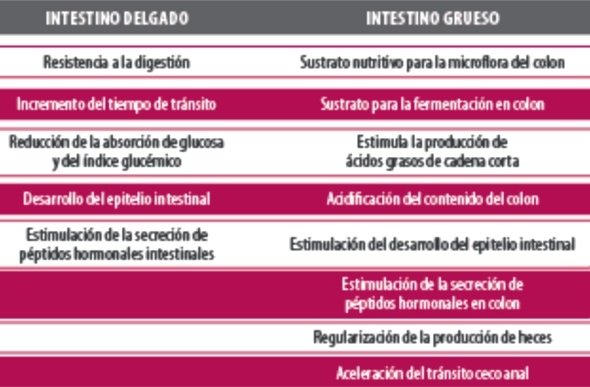 Prebióticos, Probióticos & Simbióticos en nutrición y salud animal - Image 2