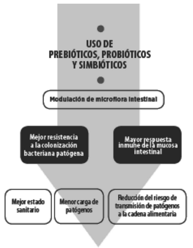 Prebióticos, Probióticos & Simbióticos en nutrición y salud animal - Image 1