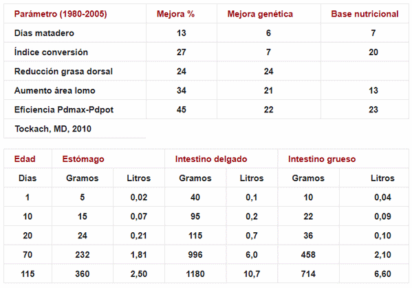 Consumo medio diario de pienso en porcino - Image 1