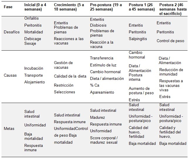 Producción de matrices, alternativas y desafíos libres de AGP - Image 1