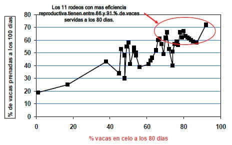Factores que afectan la eficiencia reproductiva en los rodeos lecheros - Image 4