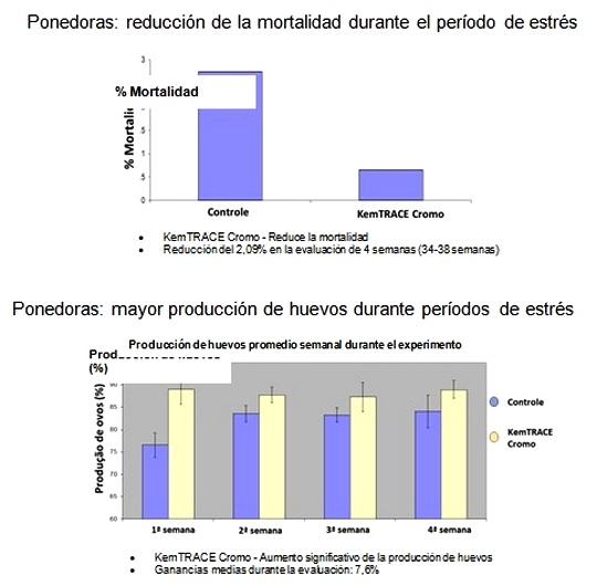 Hay quien odia el frío y/o el calor ... pero ¿qué tiene esto que ver con la avicultura? - Image 1