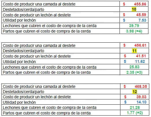 Eficiencia (y eficacia) Reproductiva - Cuantos lechones destetados cubren el costo o valor de la inversión en una cerda de reemplazo - Image 17