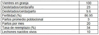 Eficiencia (y eficacia) Reproductiva - Cuantos lechones destetados cubren el costo o valor de la inversión en una cerda de reemplazo - Image 2
