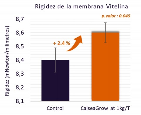 Efecto de CalseaGrow sobre la reserva de antioxidantes y la calidad del huevo en las gallinas ponedoras - Image 1