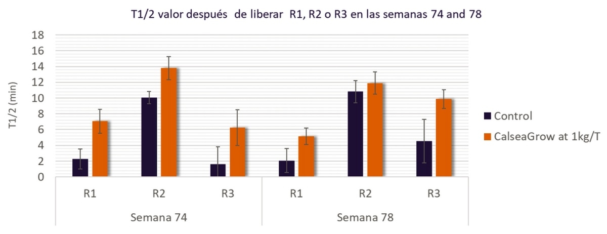 Efecto de CalseaGrow sobre la reserva de antioxidantes y la calidad del huevo en las gallinas ponedoras - Image 1
