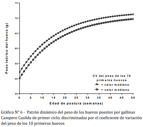 Comportamiento dinámico del peso del huevo en gallinas camperas discriminadas por indicadores productivos a la madurez sexual - Image 11