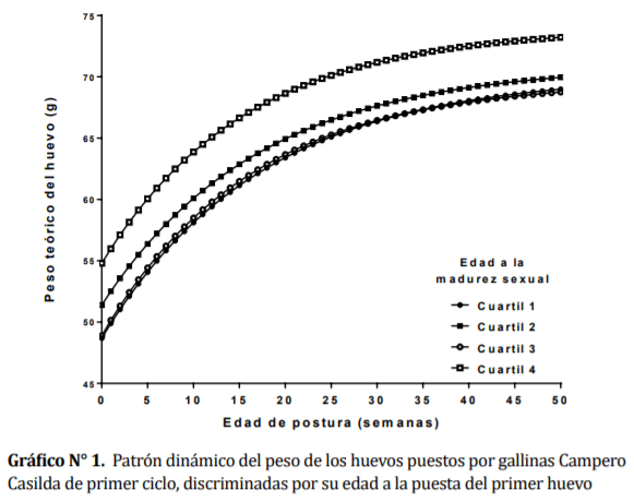 Comportamiento dinámico del peso del huevo en gallinas camperas discriminadas por indicadores productivos a la madurez sexual - Image 3