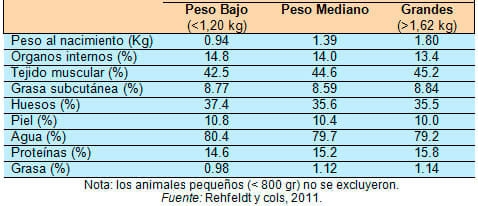 El impacto que tiene el peso del lechón al nacer y el tamaño de la camada, sobre su desempeño productivo - Image 6