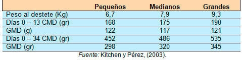 El impacto que tiene el peso del lechón al nacer y el tamaño de la camada, sobre su desempeño productivo - Image 9