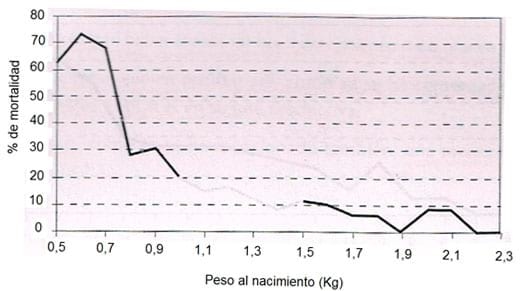 El impacto que tiene el peso del lechón al nacer y el tamaño de la camada, sobre su desempeño productivo - Image 8