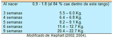 El impacto que tiene el peso del lechón al nacer y el tamaño de la camada, sobre su desempeño productivo - Image 10