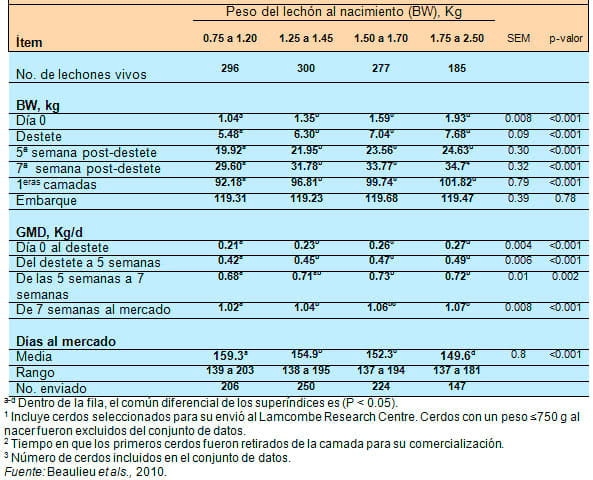 El impacto que tiene el peso del lechón al nacer y el tamaño de la camada, sobre su desempeño productivo - Image 7