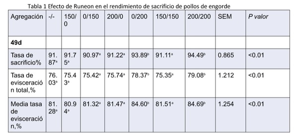 Los ácidos biliares mejoran el rendimiento en el sacrificio de pollos de engorde - Image 3
